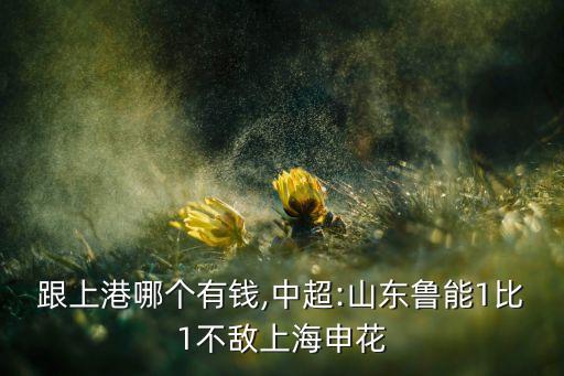 魯能跟上港哪個有錢,中超:山東魯能1比1不敵上海申花