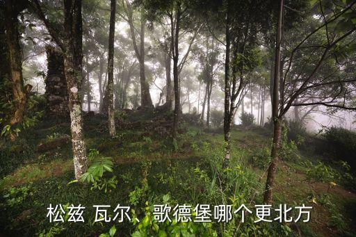 松茲瓦爾隊是哪個國家,瑞典西海岸城市哥德堡人口90萬