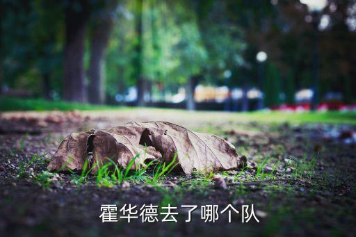  霍華德去了哪個隊(duì)