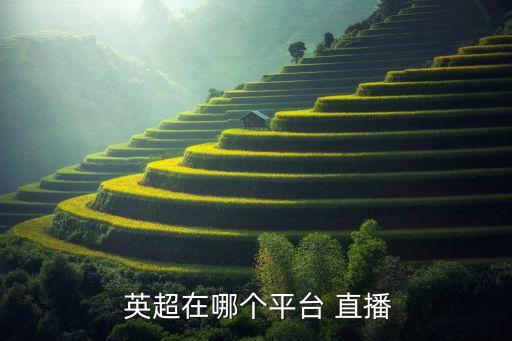 2017英超哪個(gè)臺直播,英超直播分兩部分:新英體育付費(fèi)版