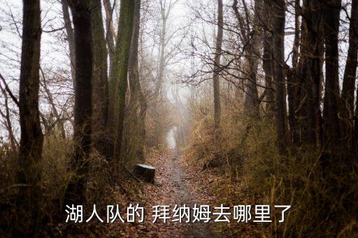 威爾拜納姆在哪個隊,湖人采取保守治療望拜納姆能及時康復