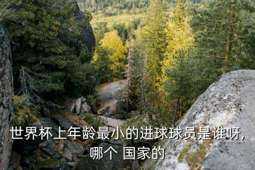 烏卡是哪個國家,巴西進(jìn)球總數(shù)上升到76個進(jìn)球來自足球