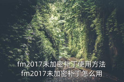  fm2017未加密補(bǔ)丁使用方法 fm2017未加密補(bǔ)丁怎么用