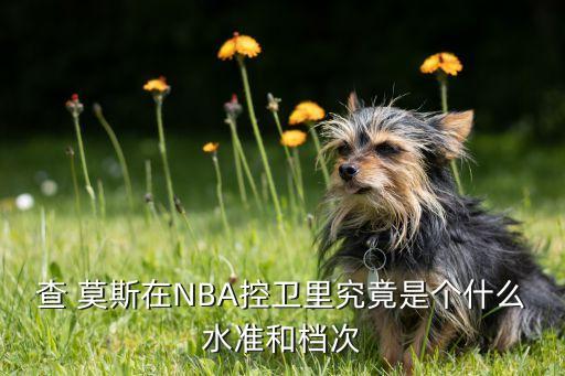 查 莫斯在NBA控衛(wèi)里究竟是個什么水準和檔次