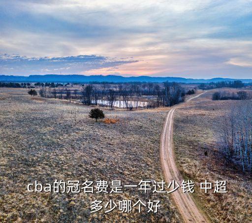中超和cba哪個(gè)值錢,中超是中國第一個(gè)職業(yè)足球聯(lián)賽