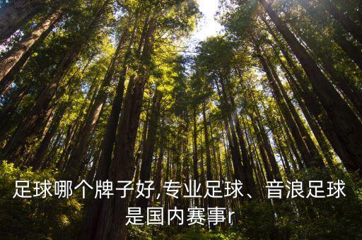 國(guó)產(chǎn)足球哪個(gè)牌子好,專(zhuān)業(yè)足球、音浪足球是國(guó)內(nèi)賽事r