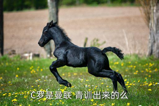 c羅哪個(gè)青訓(xùn),足壇消息:新加坡足球俱樂部是否屬于b聯(lián)
