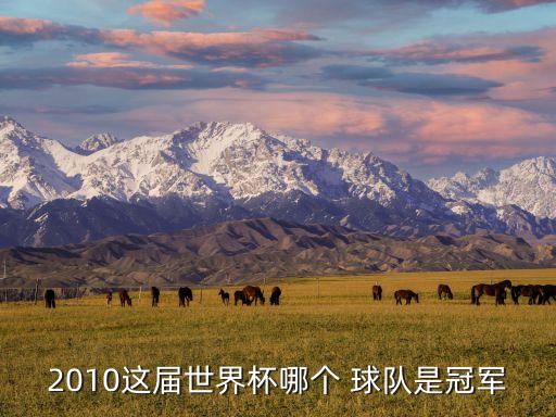 10年比利亞是哪個(gè)球隊(duì),大衛(wèi)比利亞桑切斯奪得歐冠獎(jiǎng)杯