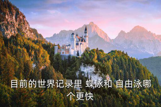 目前的世界記錄里 蝶泳和 自由泳哪個更快