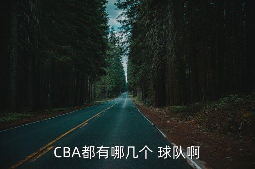 CBA都有哪幾個(gè) 球隊(duì)啊