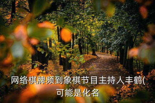  網絡棋牌頻到象棋節(jié)目主持人豐鶴(可能是化名
