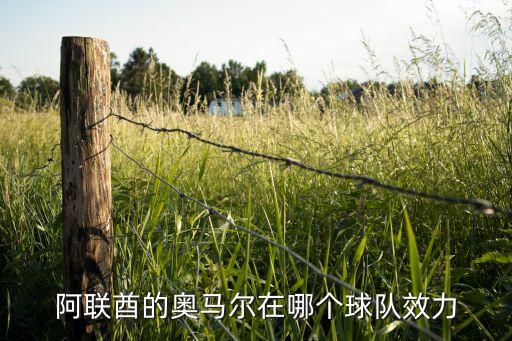 阿聯(lián)酋的奧馬爾在哪個球隊效力