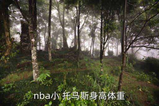 小托馬斯在哪個(gè)隊(duì),小刺客賽亞托馬斯效力籃球隊(duì)