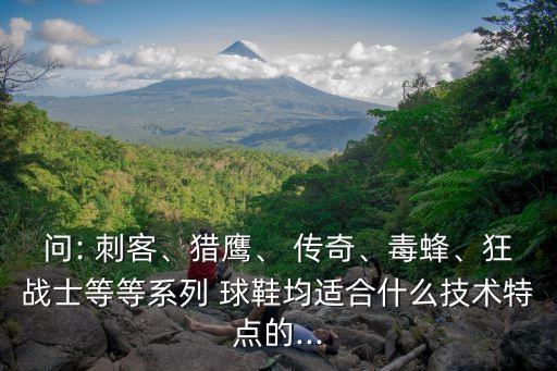 問: 刺客、獵鷹、 傳奇、毒蜂、狂戰(zhàn)士等等系列 球鞋均適合什么技術(shù)特點的...