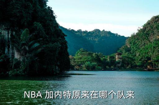 加內(nèi)特現(xiàn)在在哪個(gè)球隊(duì),nba球星加內(nèi)特與球迷說(shuō)再見(jiàn)