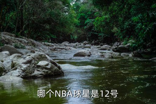 哪個NBA球星是12號