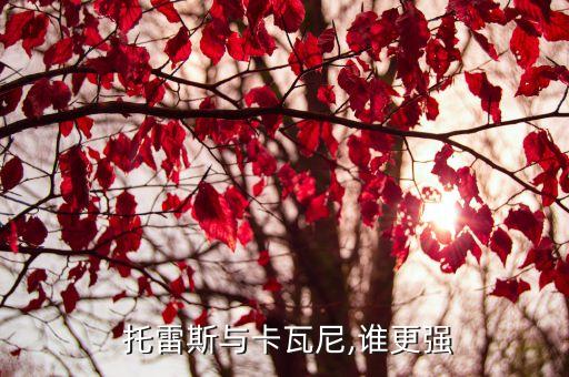  托雷斯與卡瓦尼,誰(shuí)更強(qiáng)