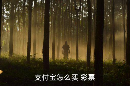 現(xiàn)在哪個網(wǎng)上能買彩票,如何購買 彩票?
