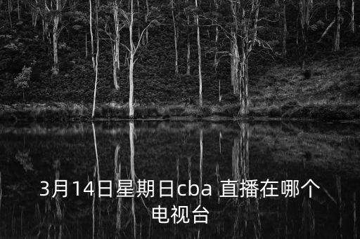 哪個(gè)臺(tái)直播廣東籃球,籃球大本營(yíng):直播回放