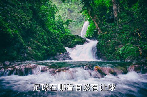 哪個(gè)足球網(wǎng)有讓球競(jìng)猜,猜猜曼聯(lián)讓步0.5%可以發(fā)給我!