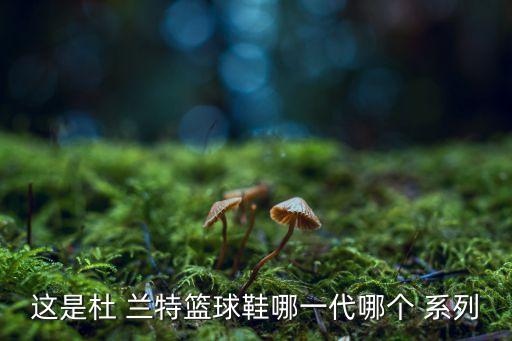 杜蘭特系列哪個(gè)好看,如果你很有錢(qián)建議買(mǎi)喬斯系列籃球鞋