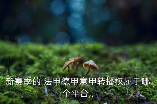 法甲聯(lián)賽哪個(gè)臺(tái)直播,陜西陜安有線電視臺(tái)直播英超和足協(xié)杯