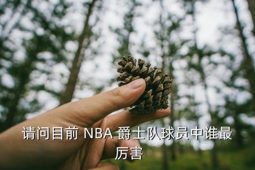 請(qǐng)問(wèn)目前 NBA 爵士隊(duì)球員中誰(shuí)最 厲害