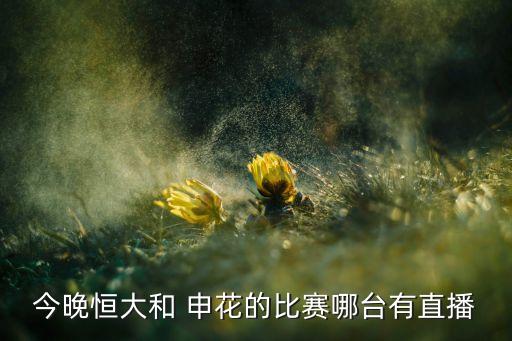 權(quán)鍵申花 哪個臺,中國足協(xié)杯:上港申花1比0戰(zhàn)勝天津全健