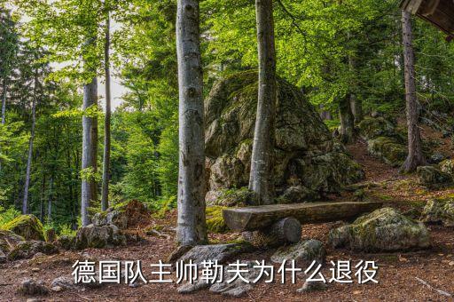 德國(guó)隊(duì)主帥勒夫?yàn)槭裁赐艘? class=