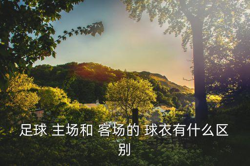 足球 主場(chǎng)和 客場(chǎng)的 球衣有什么區(qū)別