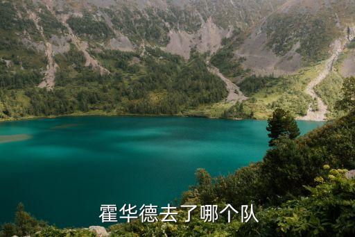  霍華德去了哪個隊