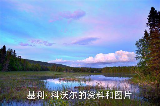 科沃爾在哪個球隊,三分投手科沃er的職業(yè)生涯回顧