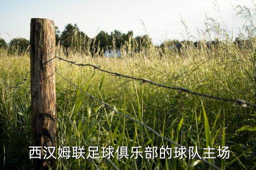 西漢姆聯(lián)是哪個隊,英超聯(lián)賽:西漢富勒姆聯(lián)隊積36分排名第8