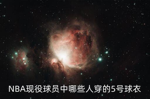 5號(hào)是哪個(gè)球星,現(xiàn)役5號(hào)球員穿過(guò)的球衣