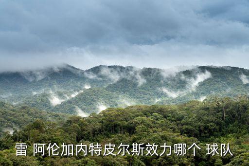 雷 阿倫加內(nèi)特皮爾斯效力哪個 球隊