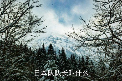 日本隊(duì)隊(duì)長叫什么