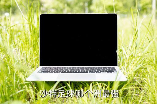 沙特聯(lián)賽哪個(gè)隊(duì)好,比卡塔爾更專(zhuān)業(yè)!沙特聯(lián)賽亞洲最好