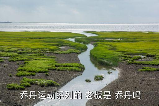  喬丹運(yùn)動(dòng)系列的 老板是 喬丹嗎
