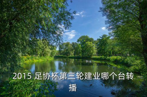 足協(xié)杯 哪個網站直播,中國足協(xié)杯第六輪比賽全面打響