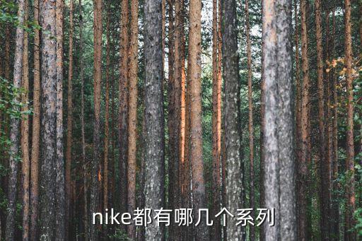  nike都有哪幾個系列