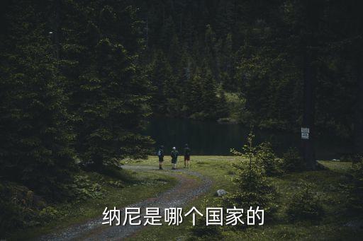 納尼在哪個(gè)隊(duì),納尼出道于葡萄牙老牌勁旅里斯本競技俱樂部