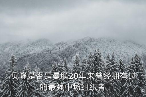 巴拉克和貝隆哪個(gè)好用,曼聯(lián)最差引援名單
