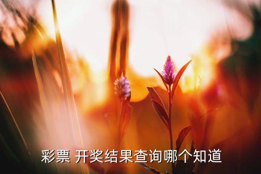 今日開獎(jiǎng)彩票有哪個(gè),北京福彩彩票大廳開放售賣中獎(jiǎng)彩票