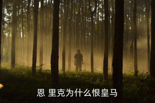恩 里克為什么恨皇馬