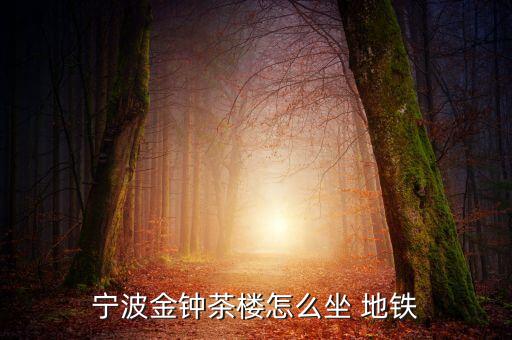 地鐵之星哪個(gè)足球,華盛頓附近沒有公交車和地鐵幸福!