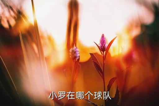 小羅在實(shí)況2016哪個(gè)隊(duì),世界杯無國(guó)家隊(duì)球員羅納爾多