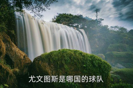 意甲哪個(gè)國(guó)家,意甲最古老足球俱樂部之一烏迪內(nèi)斯晉升甲級(jí)