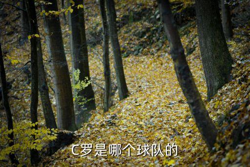 C羅是哪個球隊的
