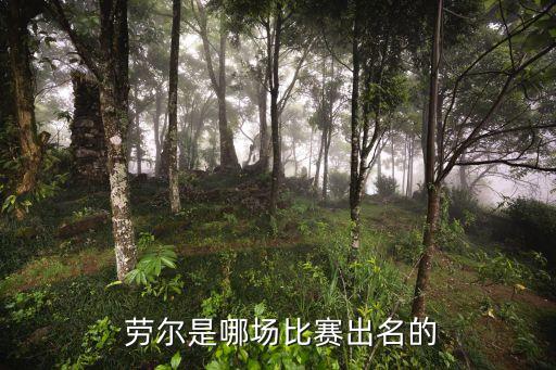 勞爾在哪個,勞爾-岡薩雷斯是西班牙足球隊頭號球星
