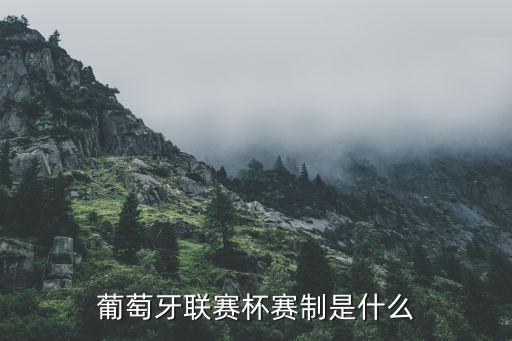 葡超和葡甲哪個更強,明年葡超擴軍倒數(shù)第二名不直接降級